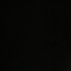 Meet your Posher, Will